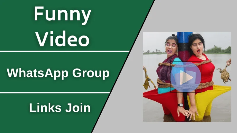 Funny Video WhatsApp Group Links